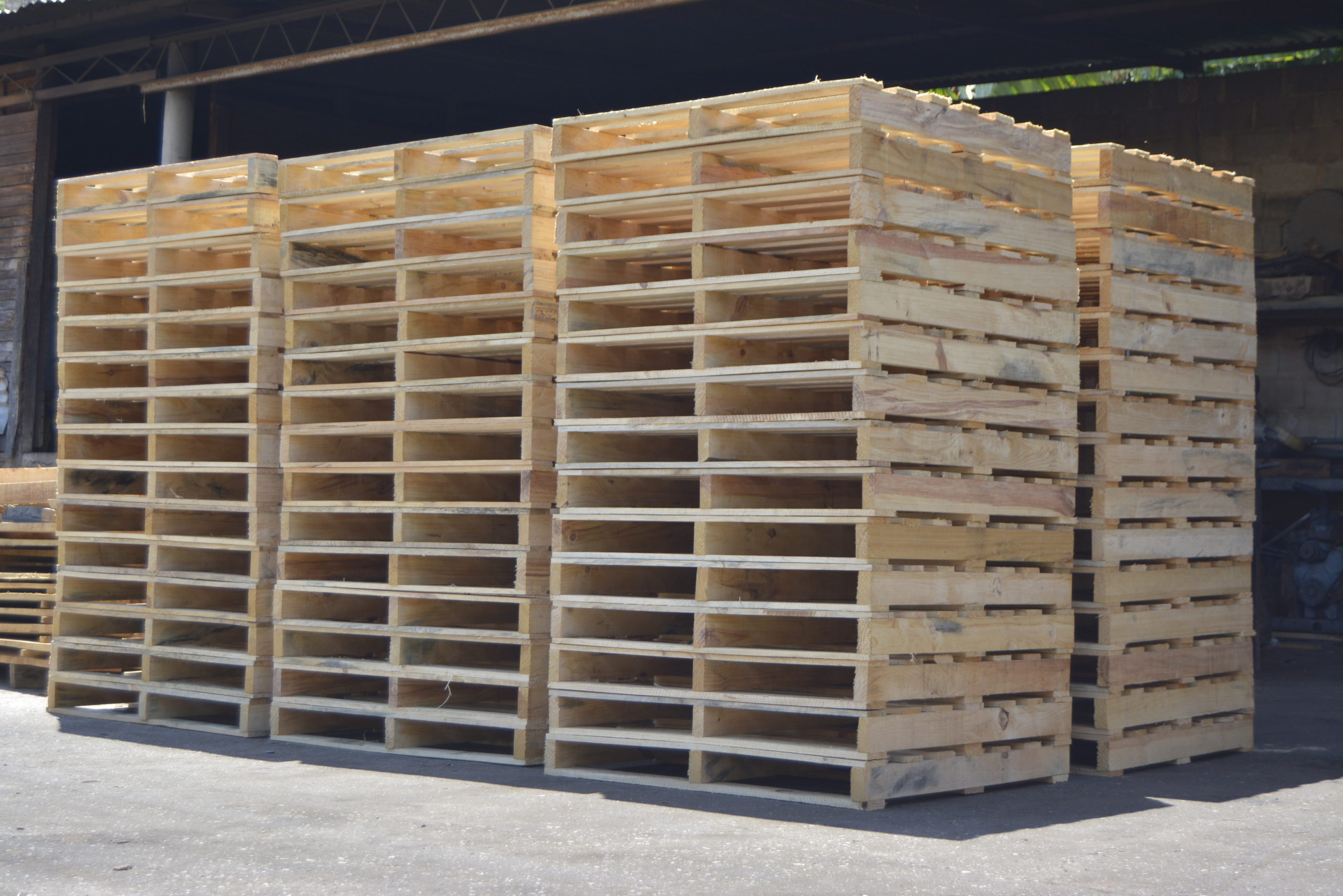 Kit de Pallets Corporación Business & Development CA